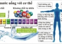 Hướng dẫn cách sử dụng nước ion kiềm ( hay nước Ankaline ) đúng cách và khoa học.